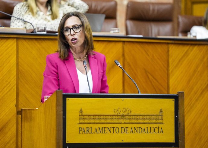 La consejera de Fomento, Rocío Díaz, esta tarde durante su comparecencia en el Pleno del Parlamento.