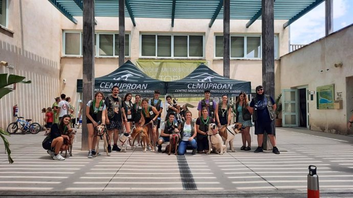 El Ayuntamiento de El Puerto organiza una jornada de adopción de animales este domingo en Los Toruños.