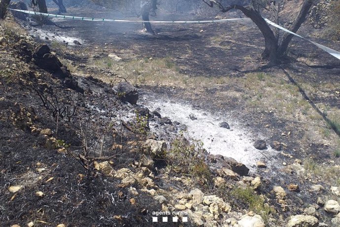 Agents Rurals creu que la causa de l'incendi a Tortosa (Tarragona) és la crema de restes vegetals