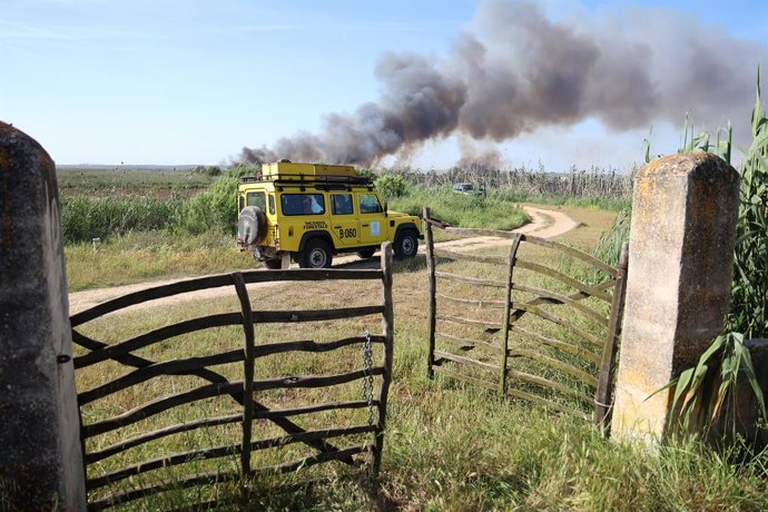 Un coche de incendios forestales acude a la zona afectada por un incendio, a 28 de mayo de 2024, en s'Albufera, Mallorca, Baleares (España). El incendio declarado en la madrugada de hoy en s'Albufera (Mallorca) ha calcinado ya 20 hectáreas de cañizo y h