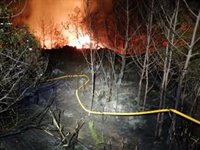 Extinguido un incendio forestal en Artà