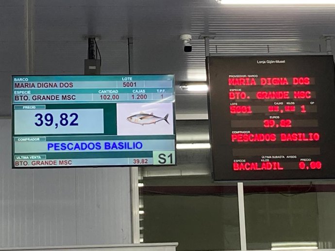 Primera subasta del arranque de la temporada del bonito en Lonja Gijón, en el puerto gijonés de El Musel.