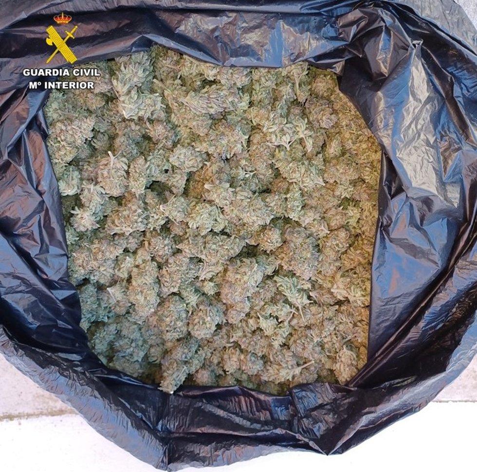 La Guardia Civil detiene a una persona que trasportaba más de 23 kilos de marihuana en su vehículo en Puerto Lápice.