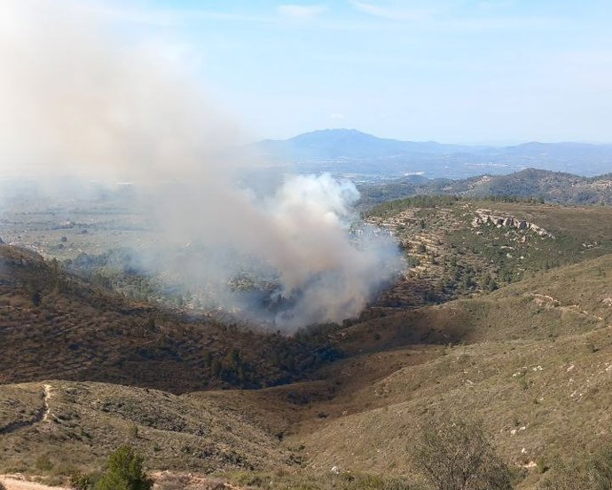Incendio forestal iniciado en el Coll de l'Alba de Tortosa (Tarragona)
