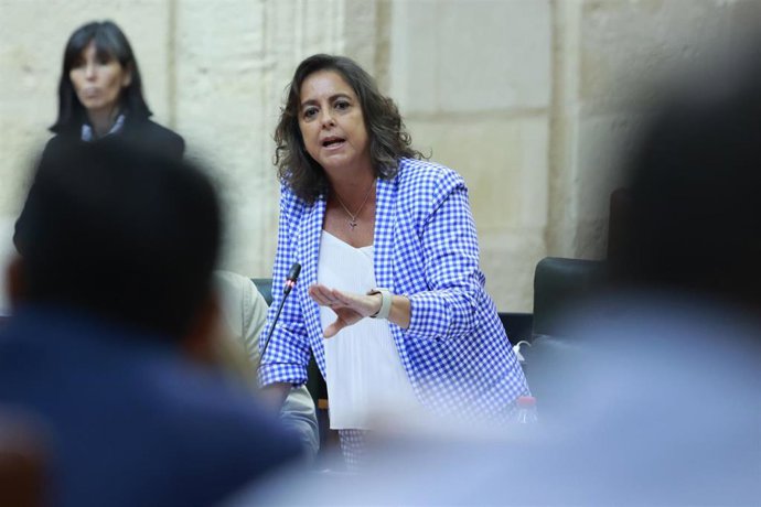 La consejera de Salud y Consumo, Catalina García, en el Pleno del Parlamento del 29 de mayo de 2024.