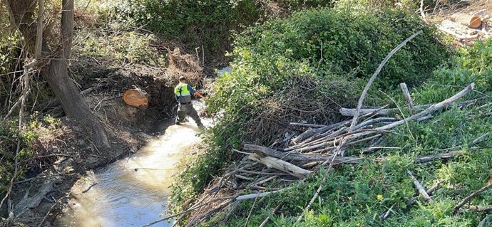 Trabajos de conservación de cauces