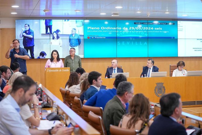 Lectura de la declaración institucional en apoyo a la Lengua de Signos, en el inicio del pleno ordinario de la Diputación.
