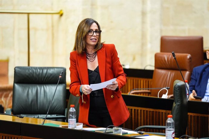 La consejera de Fomento, Articulación del Territorio y Vivienda, Rocío Díaz, en la sesión plenaria del Parlamento de Andalucía.