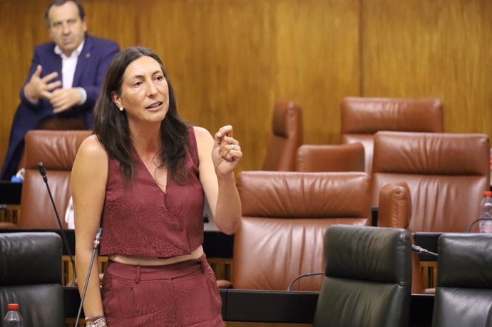 La consejera de Inclusión Social, Juventud, Familias e Igualdad, Loles López, en el pleno del Parlamento.