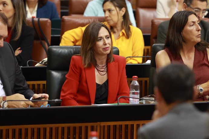 La consejera de Fomento, Articulación del Territorio y Vivienda, Rocío Díaz, en la segunda jornada del Pleno del Parlamento andaluz. 