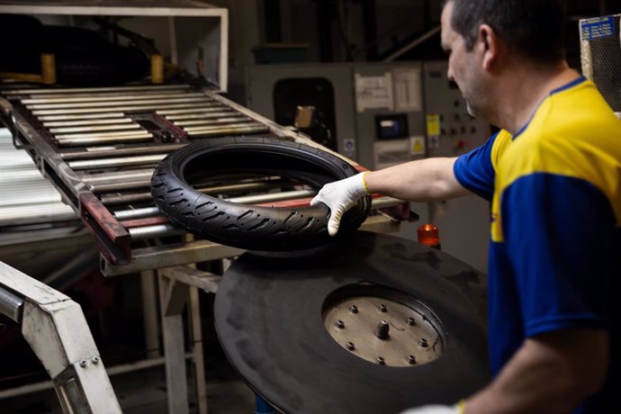 Desconvocada la huelga en Dominion Industry, subcontrata de Michelin Vitoria. 