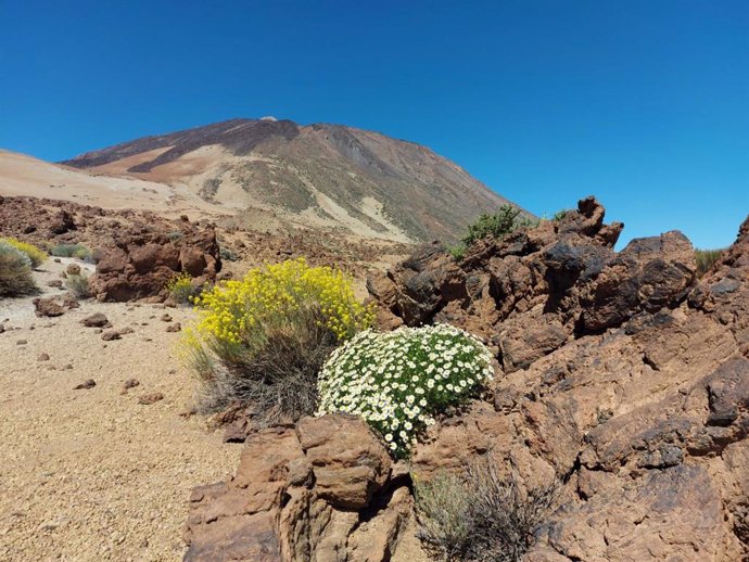 Parque Nacional del Teide