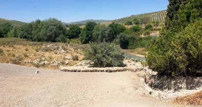 Es Andalucía - Jaén