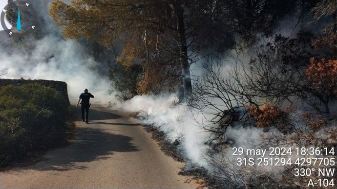 Medios aéreos y terrestres trabajan para controlar un incendio declarado en la falda del Montgó, en Xàbia (Alicante)
