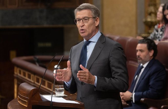 El líder del PP, Alberto Núñez Feijóo, interviene durante un pleno en el Congreso de los Diputados, a 30 de mayo de 2024, en Madrid (España). La Ley de Amnistía afronta hoy en el Pleno del Congreso su última votación parlamentaria, en la que se necesita m