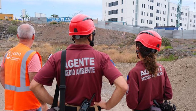 Ayuntamiento y Cabildo rescatan lagartos en la parcela donde se construirán 131 viviendas públicas en Tamaraceite