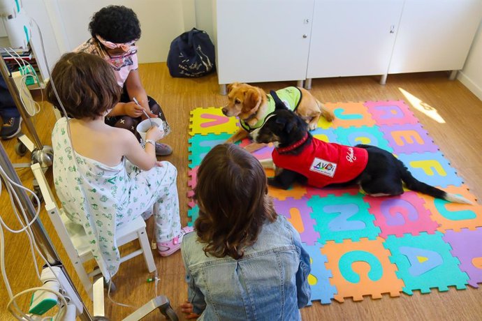 La terapia canina supone un apoyo terapéutico adicional que contribuye al bienestar físico y psíquico de los pacientes ingresados en el Hospital Materno Infantil de Málaga.