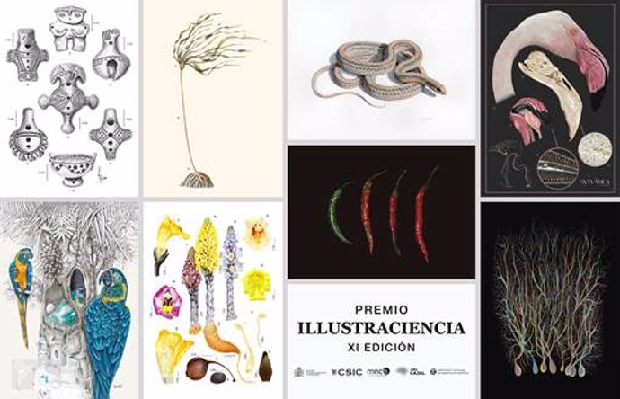 Trabajos premiados en la undécima edición del cetamen internacional 'Ilustraciencia'.