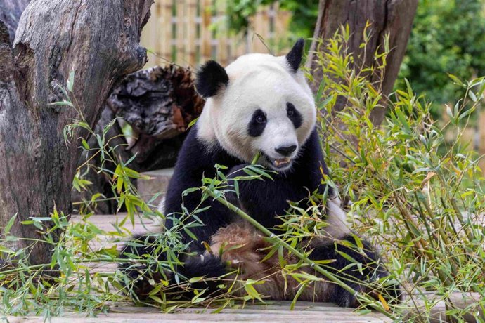 Vídeo de la noticia