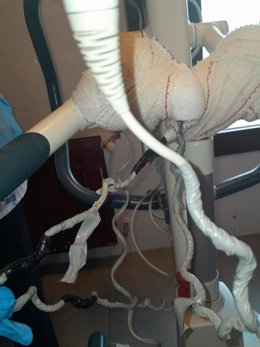 SAE CyL denuncia deficiencias en la residencia palentina Puente de Hierro que ponen en peligro a personal y usuarios.