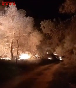 Incendi forestal a La Palma d'Ebre (Tarragona)