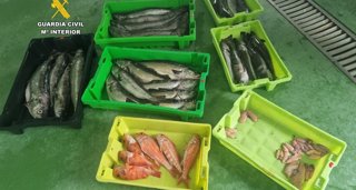 Pesca Galicia