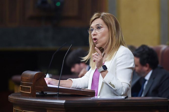 La vicesecretaria de Igualdad, Conciliación y Política Social del PP, Ana Alós interviene durante una sesión plenaria, en el Congreso de los Diputados, a 21 de mayo de 2024, en Madrid (España). La sesión plenaria ha comenzado hoy con los debates de toma e