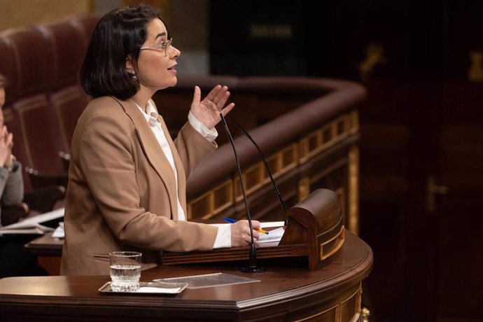 Archivo - La diputada del PSOE Elisa Garrido interviene durante una sesión plenaria en el Congreso de los Diputados.