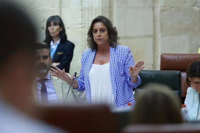 La consejera de Salud y Consumo, Catalina García, en el Pleno del Parlamento de Andalucía del 29 de mayo de 2024.