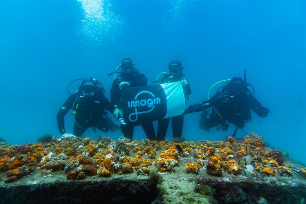 Imagin y la asociación Hombre y Territorio (HyT) crean en Nerja un nuevo arrecife artificial de coral naranja.