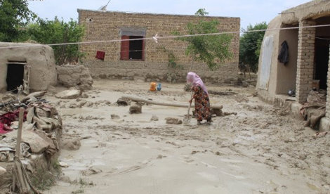 Cooperación y Desarrollo