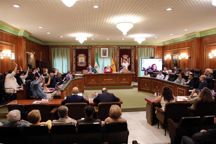 El pleno en el Ayuntamiento de Marbella.