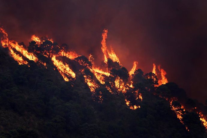 Archivo - Incendio forestal del Pujerra, imagen de archivo. 