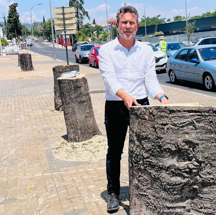 El edil del PSOE Joaquín Dobladez, junto a uno de los árboles talados en El Brillante.