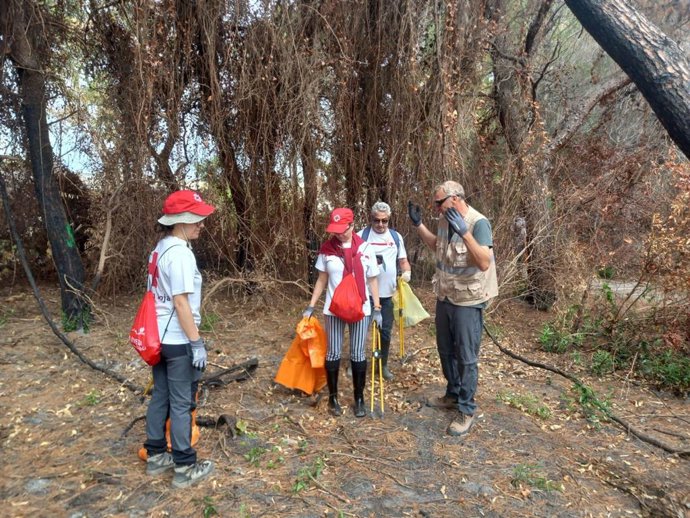 Voluntarios recogen 140 kilos de vidrio, metales y envases en el entorno de la Albufera