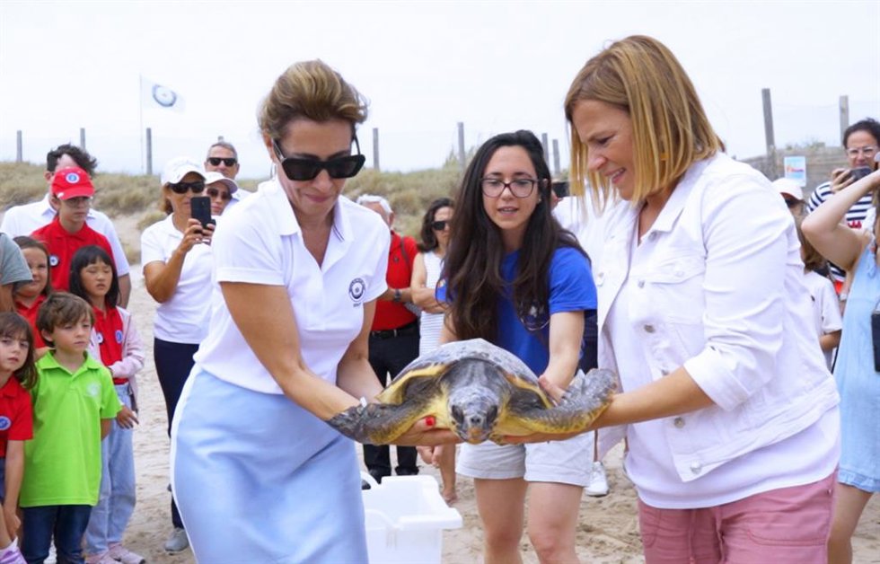 PARADORES Y LA FUNDACIÓN OCEANOGRFIC PRESENTAN LA VI CAMPAÑA 'EL MAR EMPIEZA AQUÍ'