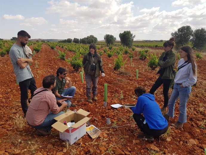 Proyecto de formación agrícola impulsado por SEO/Birdlife.