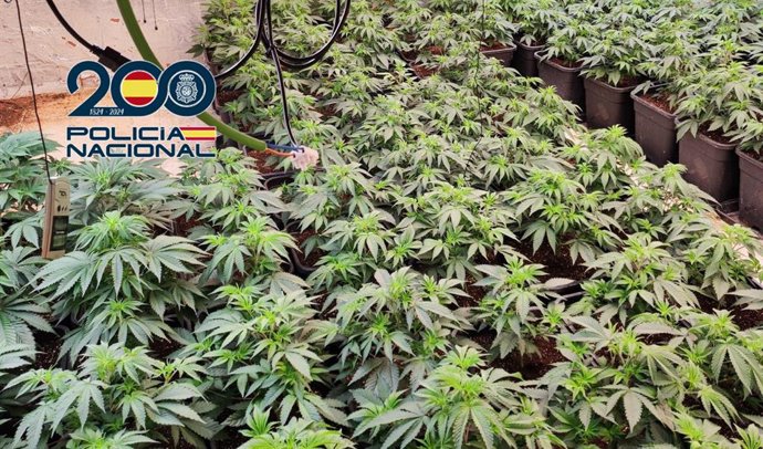 Detienen a seis miembros de una familia tras desmantelar un punto de venta de droga en un edificio de Picassent