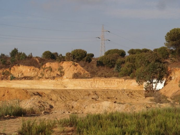 Archivo - Paraje Natural Estero Domingo Rubio en una imagen de archivo.