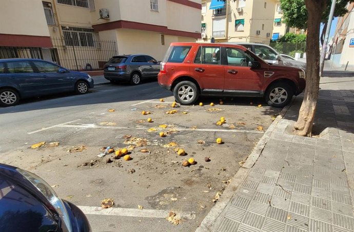 Naranjas aplastadas en una calle