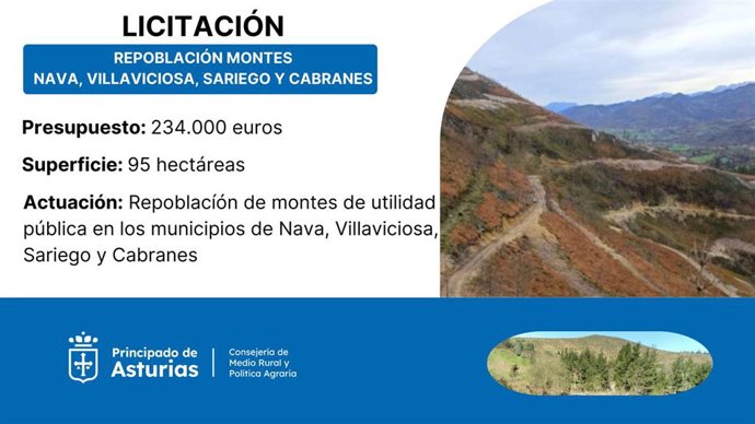 Infografía del proyecto de repoblación de montes