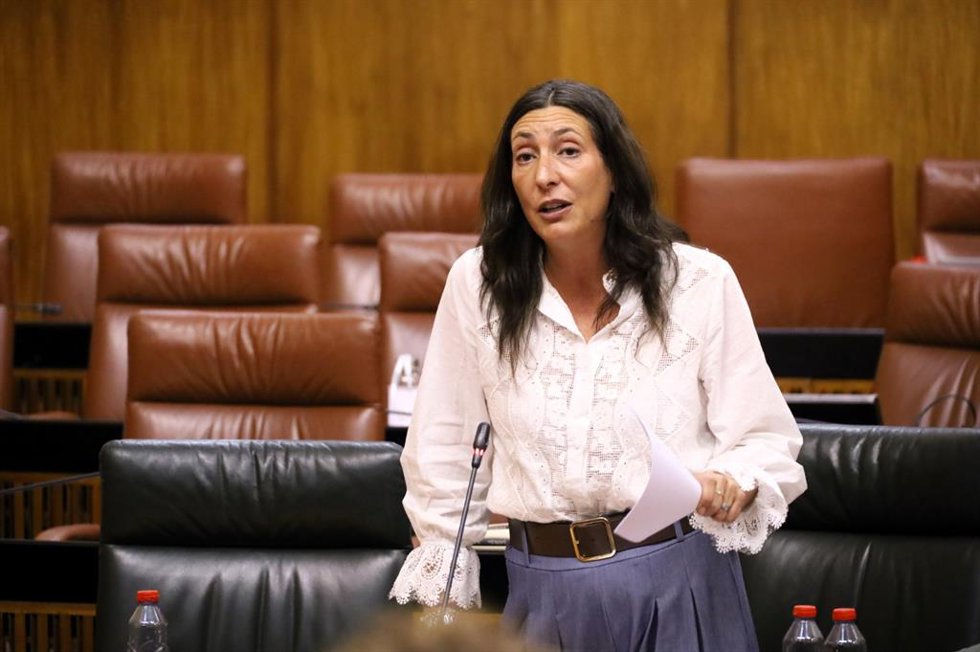 La consejera de Inclusión Social de la Junta de Andalucía, Loles López, en un Pleno del Parlamento andaluz.