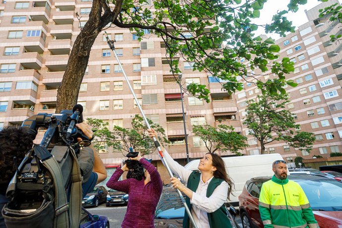 La consejera municipal de Medio Ambiente y Movilidad, Tatiana Gaudes, suelta insectos beneficiosos para combatir las plagas.