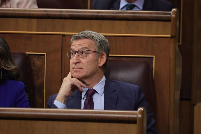 El líder del PP, Alberto Núñez Feijóo, durante la sesión de control al Gobierno, en el Congreso de los Diputados, a 29 de mayo de 2024, en Madrid (España).