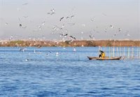 Expertos ven a l'Albufera en "clara recuperación" con la cantidad y calidad del agua como "problemas más urgentes"