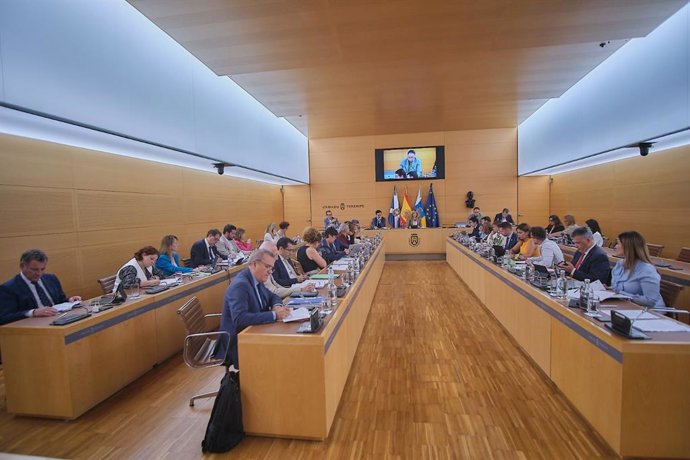 Pleno del Cabildo de Tenerife