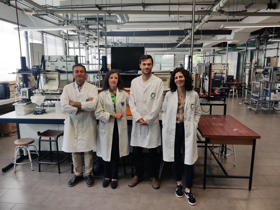 Equipo de investigación del Departamento de Ingeniería Química de la Universidad de Granada que ha trabajado sobre el método conocido como pirólisis