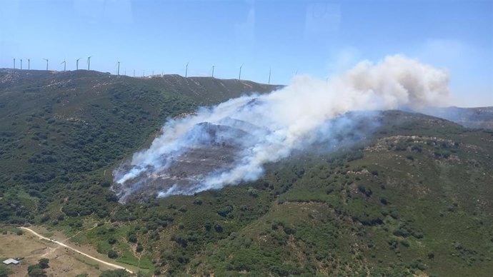 Incendio en un paraje de Tarifa (Cádiz)