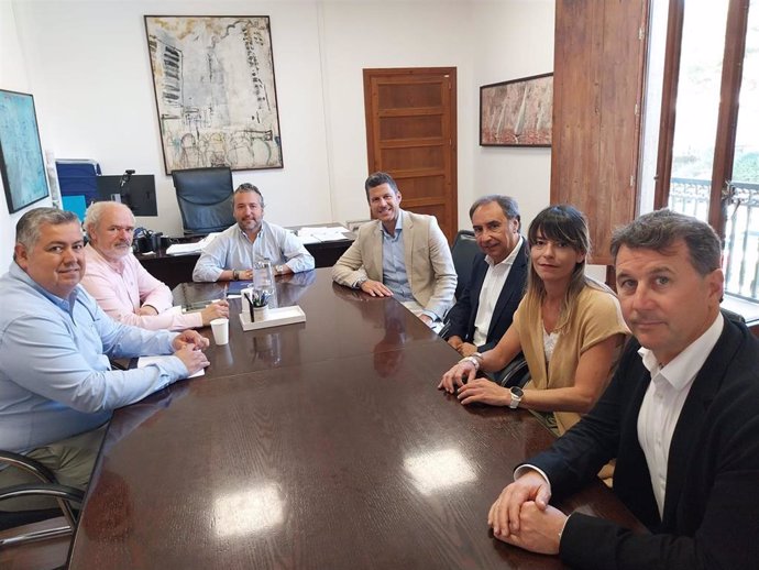 El conseller insular Territorio, Movilidad e Infraestructuras, Fernando Rubio, reunido con representantes de las empresas de alquiler de coches de Baleares.