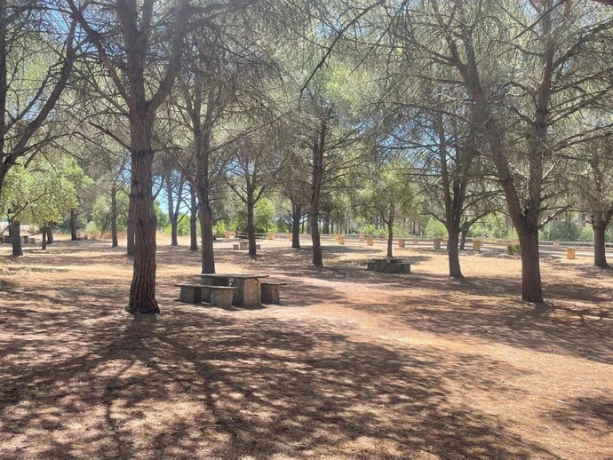 Vista del parque de La Suara, que ocupa una parte de monte en el término municipal de Jerez de la Frontera (Cádiz).